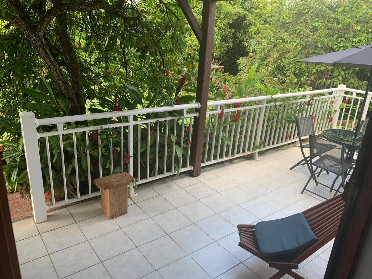 Logement Vacances Gissac Sainte-Anne Екстер'єр фото